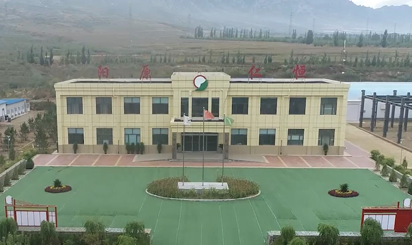 图片2.webp 图片2.webp